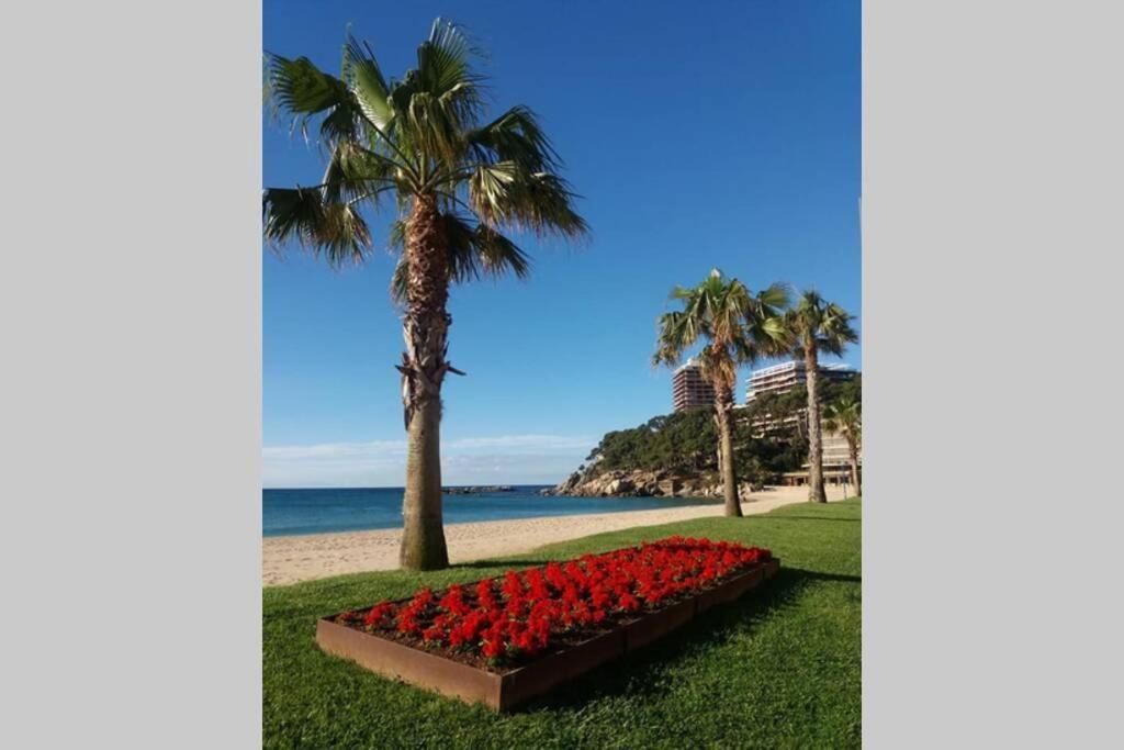 Costa Brava-St Antoni De Calonge Apartament Per Parelles I Families Petites Εξωτερικό φωτογραφία